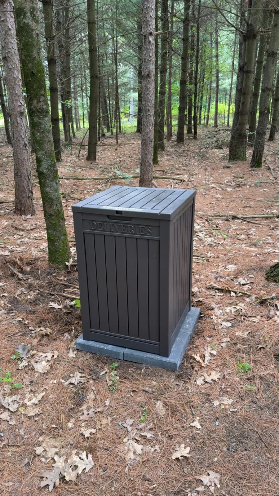Package Delivery Box for Outside, Classic Black customer photo 2