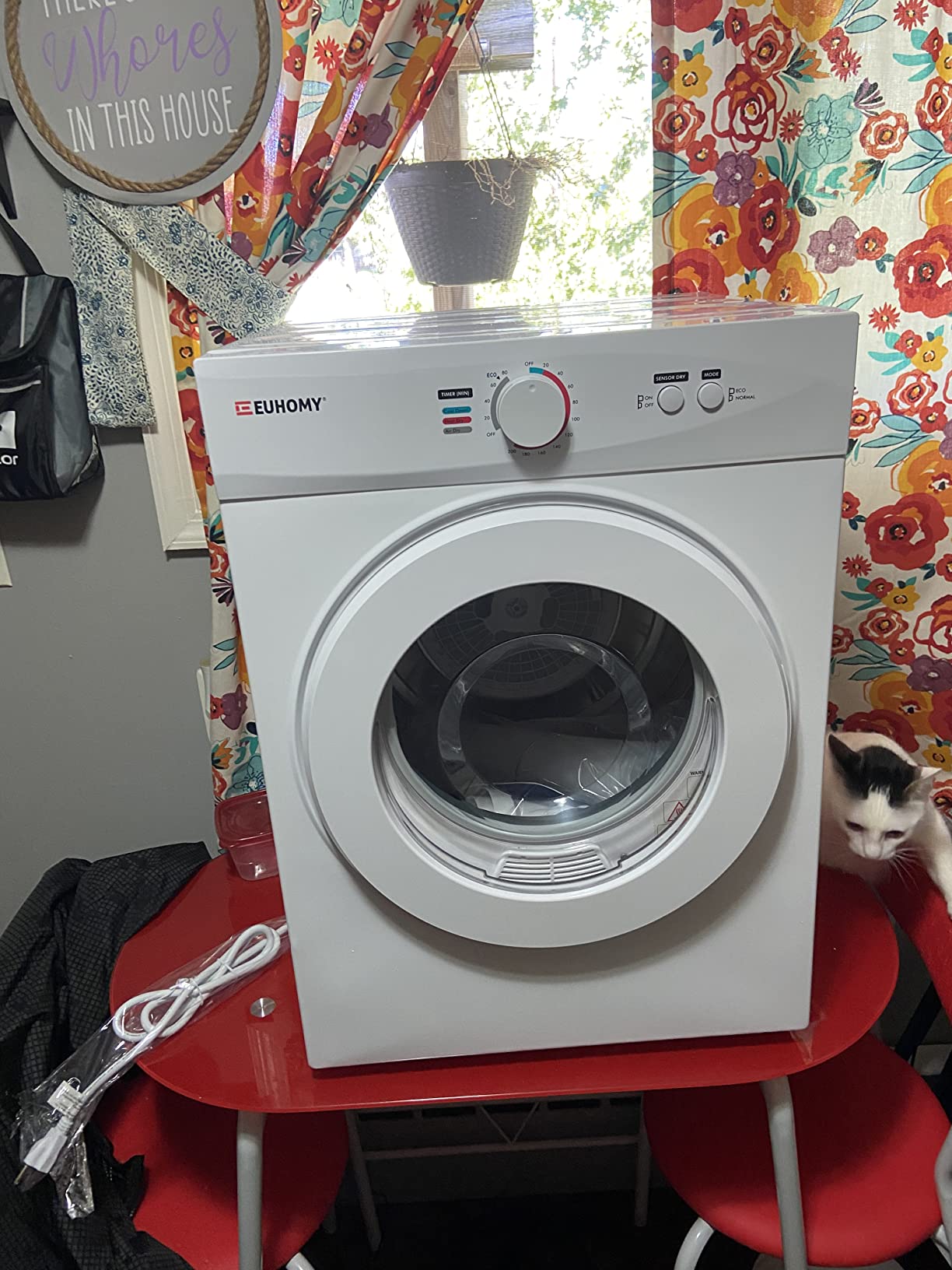 Euhomy 1.8 Cu.Ft Portable Clothes Dryer 1020W Compact Laundry Drying customer photo 2
