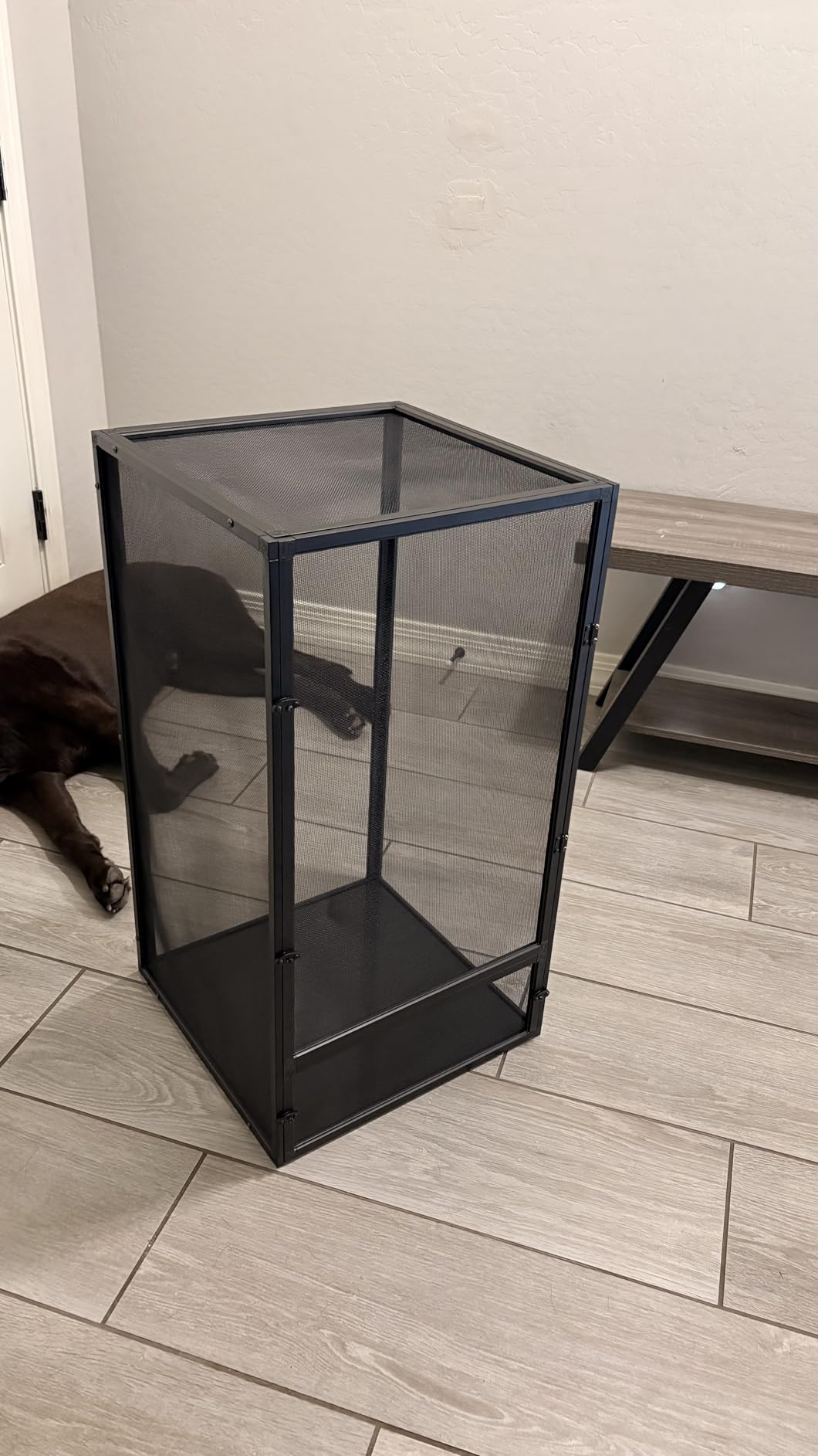 Zoo Med ReptiBreeze Open Air Screen Cage, Large, 18 x 18 x 36-Inches customer photo 2