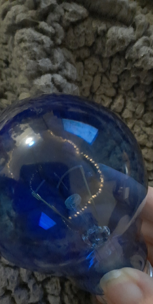 Zoo Med Day & Night Reptile Bulb Combo Pack customer photo 1