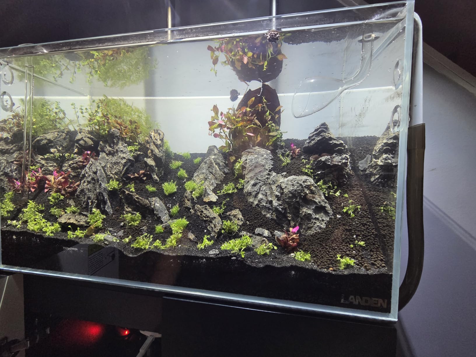 LANDEN Aquarium 60P 16 Gallon Ultra Clear Glass Rimless Fish Tank customer photo 2