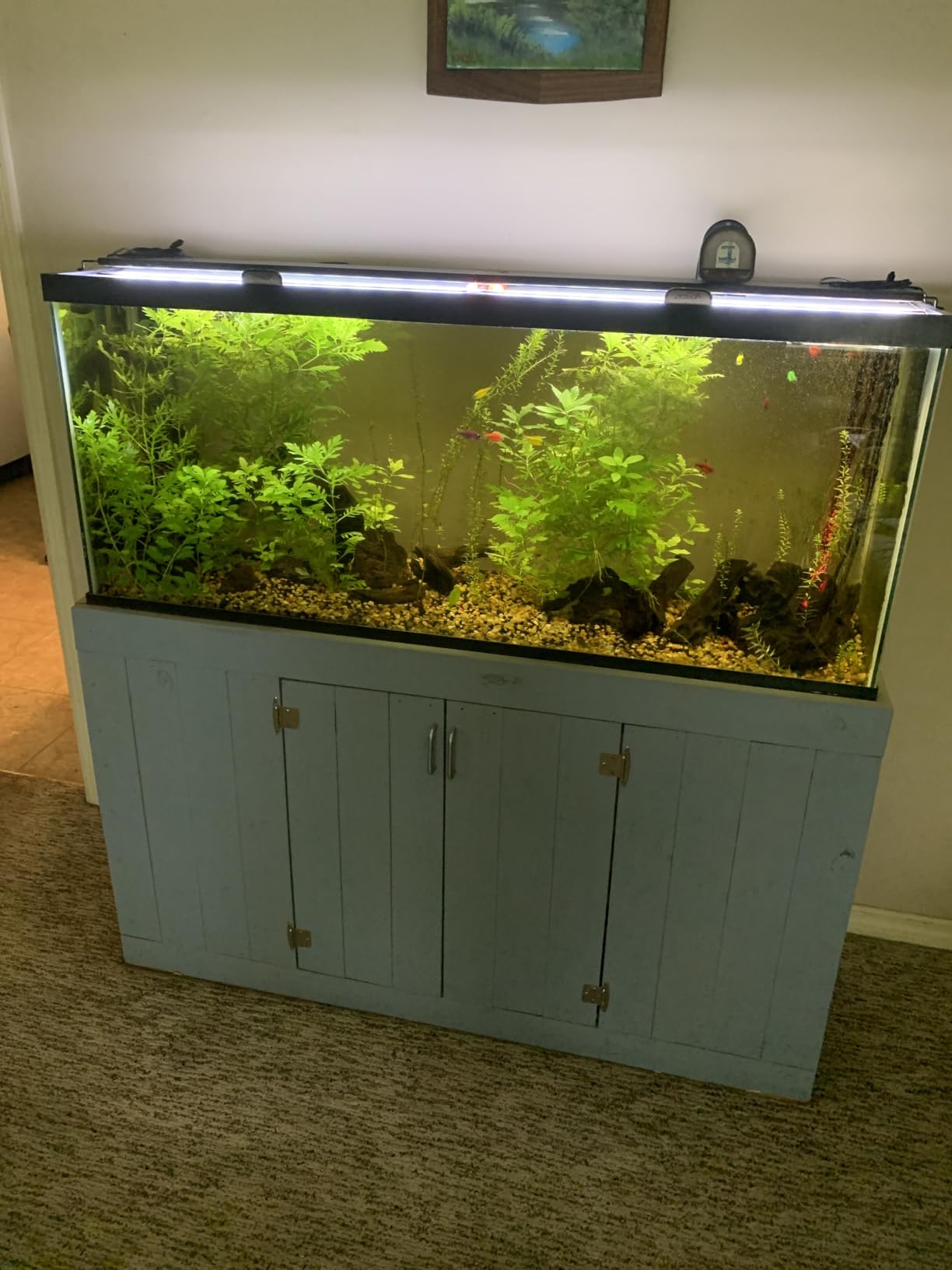 Marineland Magniflow 250 GPH Canister Aquarium Filter customer photo 2