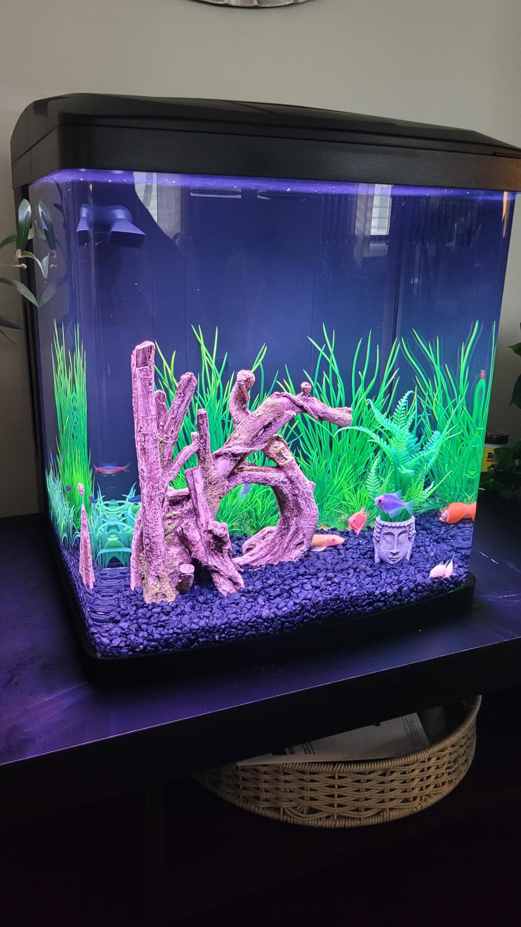 Coralife LED Biocube Aquarium Starter Kit, 16 Gallon Tank for Beginners customer photo 2
