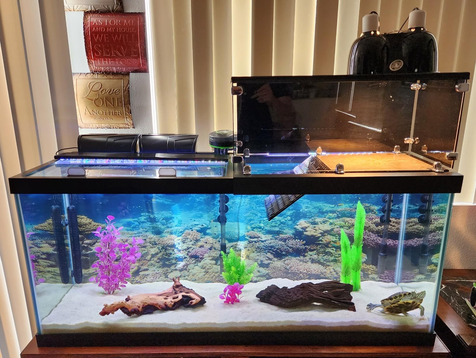Aqueon QuietFlow Canister Aquarium Filter, 55-100 Gallons (ECOM) customer photo 1