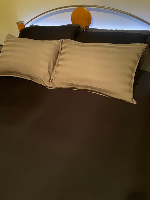 Pure Bamboo Queen Sheets, Genuine 100% Organic Viscose Derived from Bamboo Bed Sheet Set, Luxuriously Soft & Cooling, Double Stitching, 2 Year Quality Promise (Queen, Ivory) customer photo 2