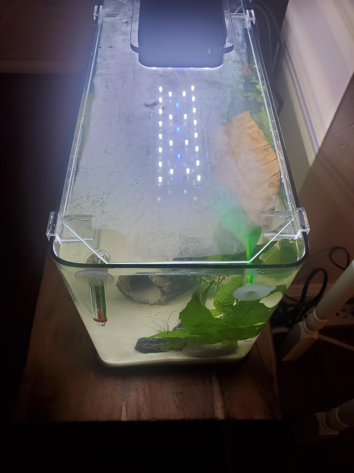 Aquatop Pisces Bullet Shaped Glass Aquarium, 5-Gal Nano Tank – 53 GPH – Touch Sensitive LED Light – All-in-One Kit for Fresh & Saltwater Fish customer photo 1