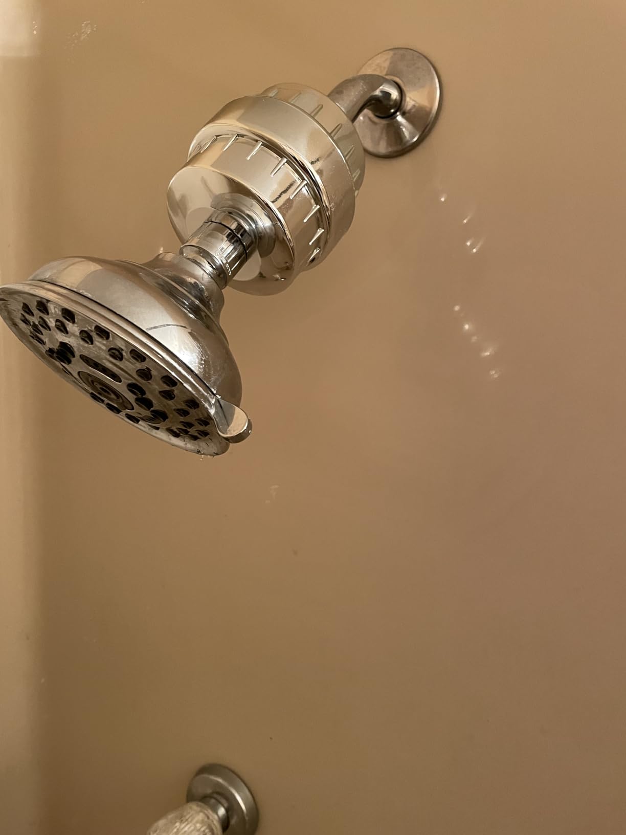 Aqua Earth Shower Filter for Hard Water, 20-Stage Vitamin C E Chlorine customer photo 2