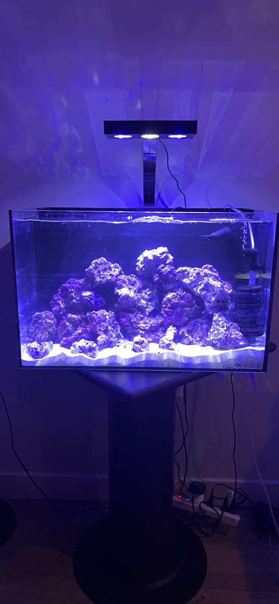 Empire USA - 24 Gallon All-in-One Aquarium Kit, Rimless Low Iron Glass AIO Saltwater & Freshwater Fish Tank, Complete Nano Reef Tank Setup for Home or Office customer photo 1