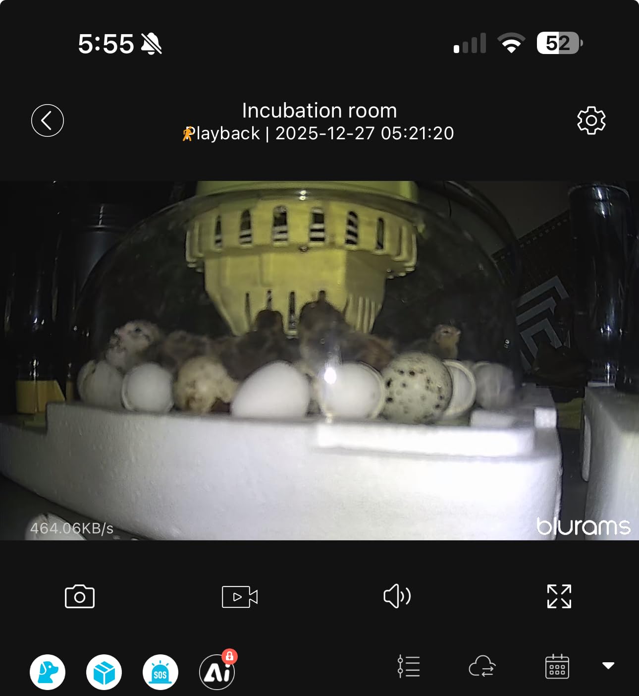blurams Security Camera, 2K Indoor Camera 360° Pet Camera for Home Security customer photo 2
