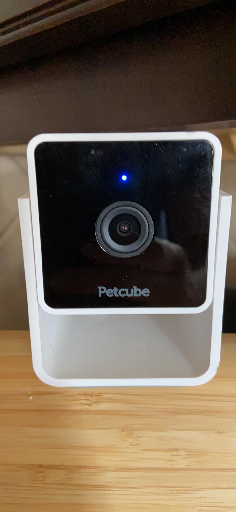 Petcube Cam – Indoor Wi-Fi Pet & Security Camera with App customer photo 2