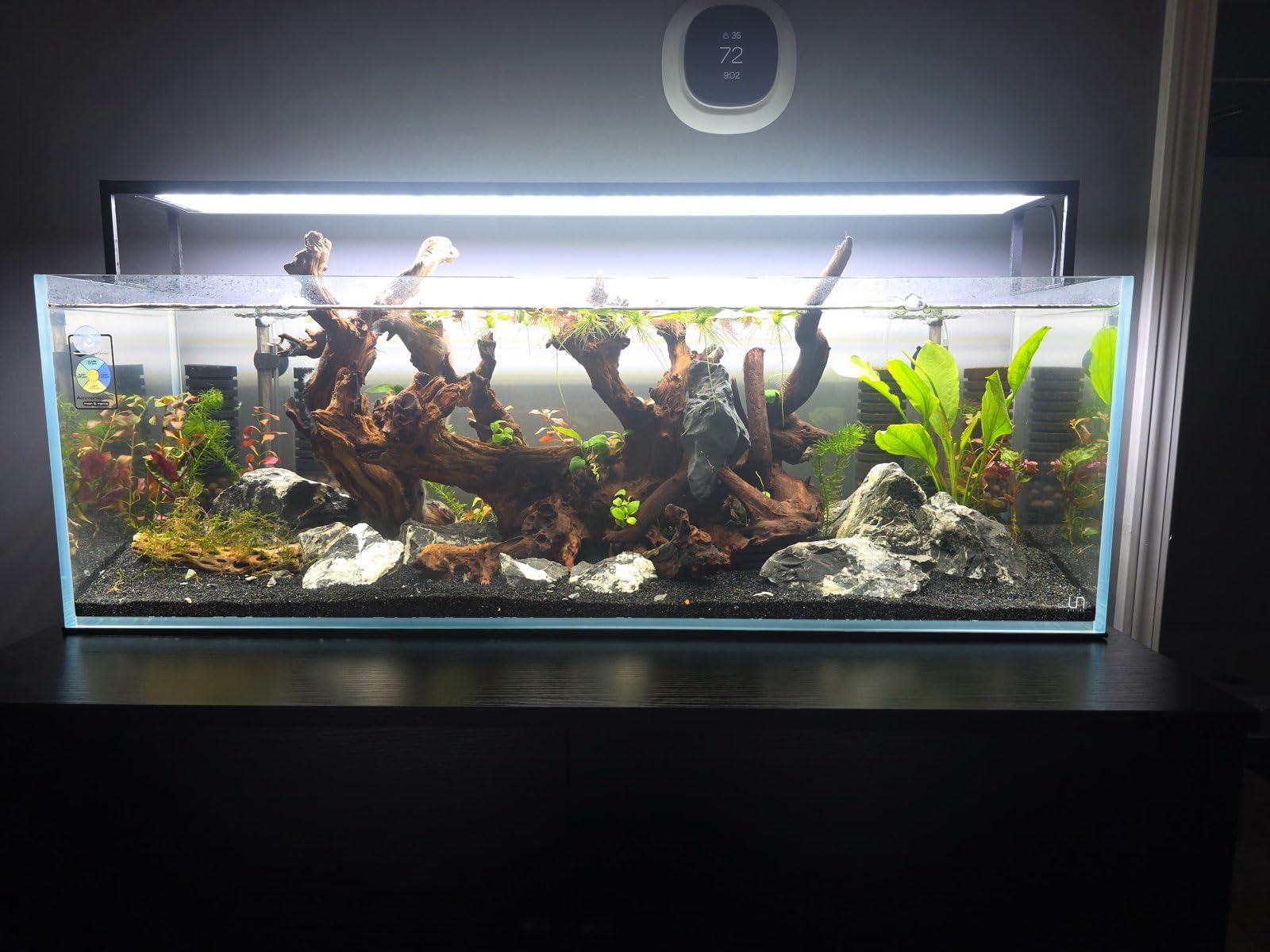 Ultum Nature Systems Ultra Clear Rimless Aquarium - Low Iron Glass Fish Tank with 45° Mitered Edges, 5mm-12mm Thick, Leveling Mat Included (5S, Shallow, 2 Gallon) customer photo 2