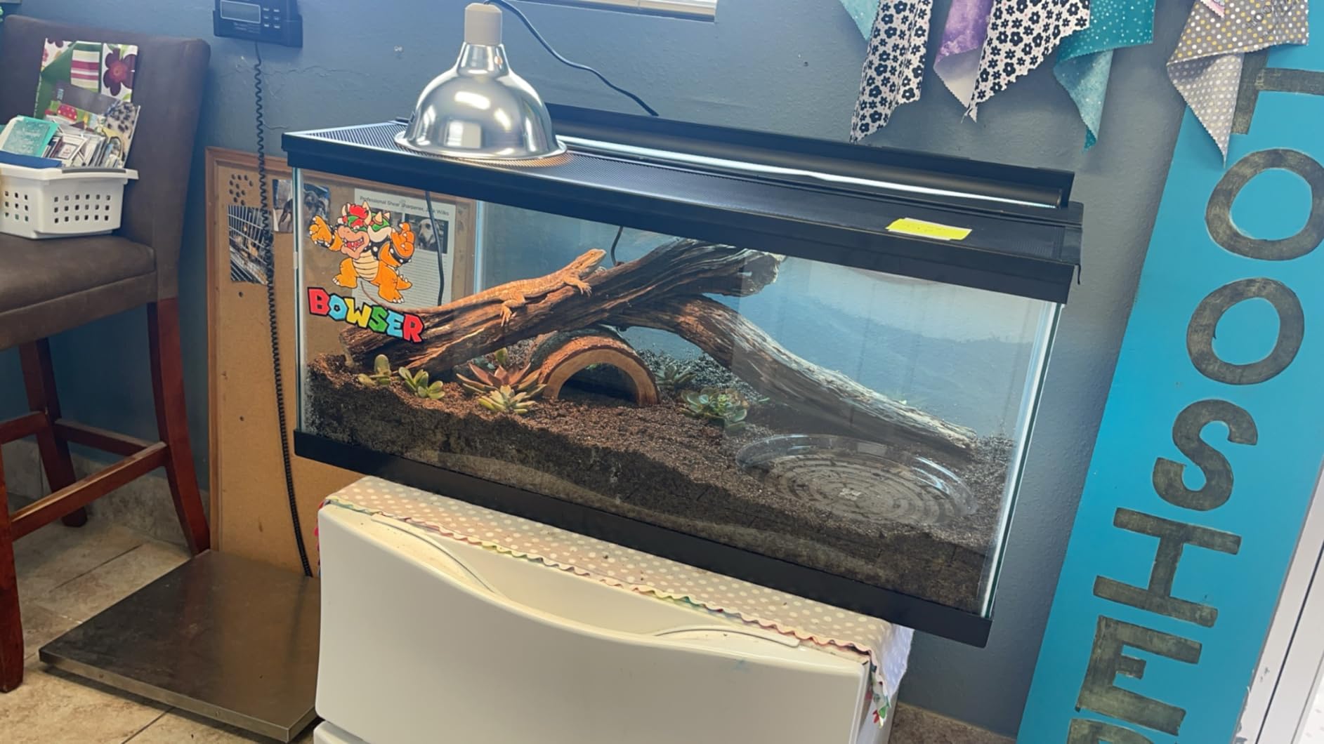 REPTI ZOO T5 HO UVB Lighting Combo Kit, Terrarium Hood Comes with Desert 10.0 UVB T5 Lamp (39W) customer photo 1