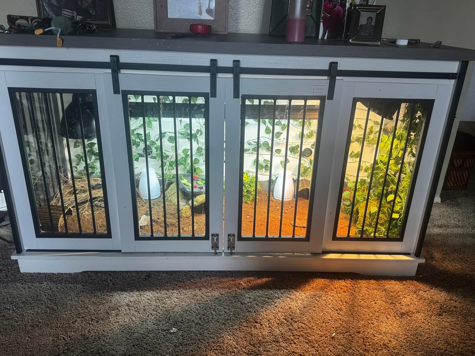 REPTI ZOO T5 HO UVB Lighting Combo Kit, Terrarium Hood Comes with Desert 10.0 UVB T5 Lamp (39W) customer photo 2