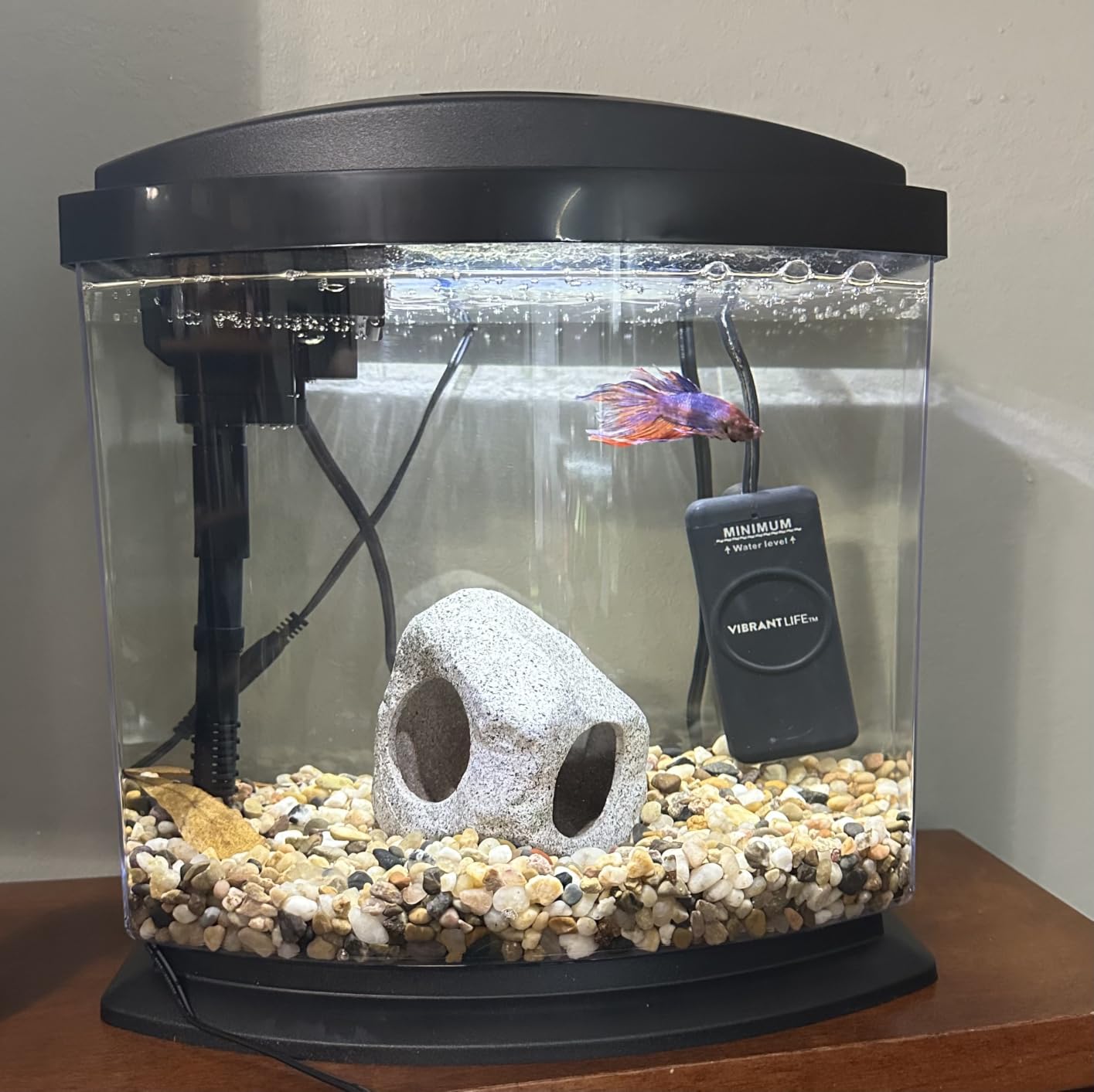 Aqueon LED MiniBow Small Aquarium Fish Tank Kit with SmartClean Technology, White, 2.5 Gallon customer photo 2