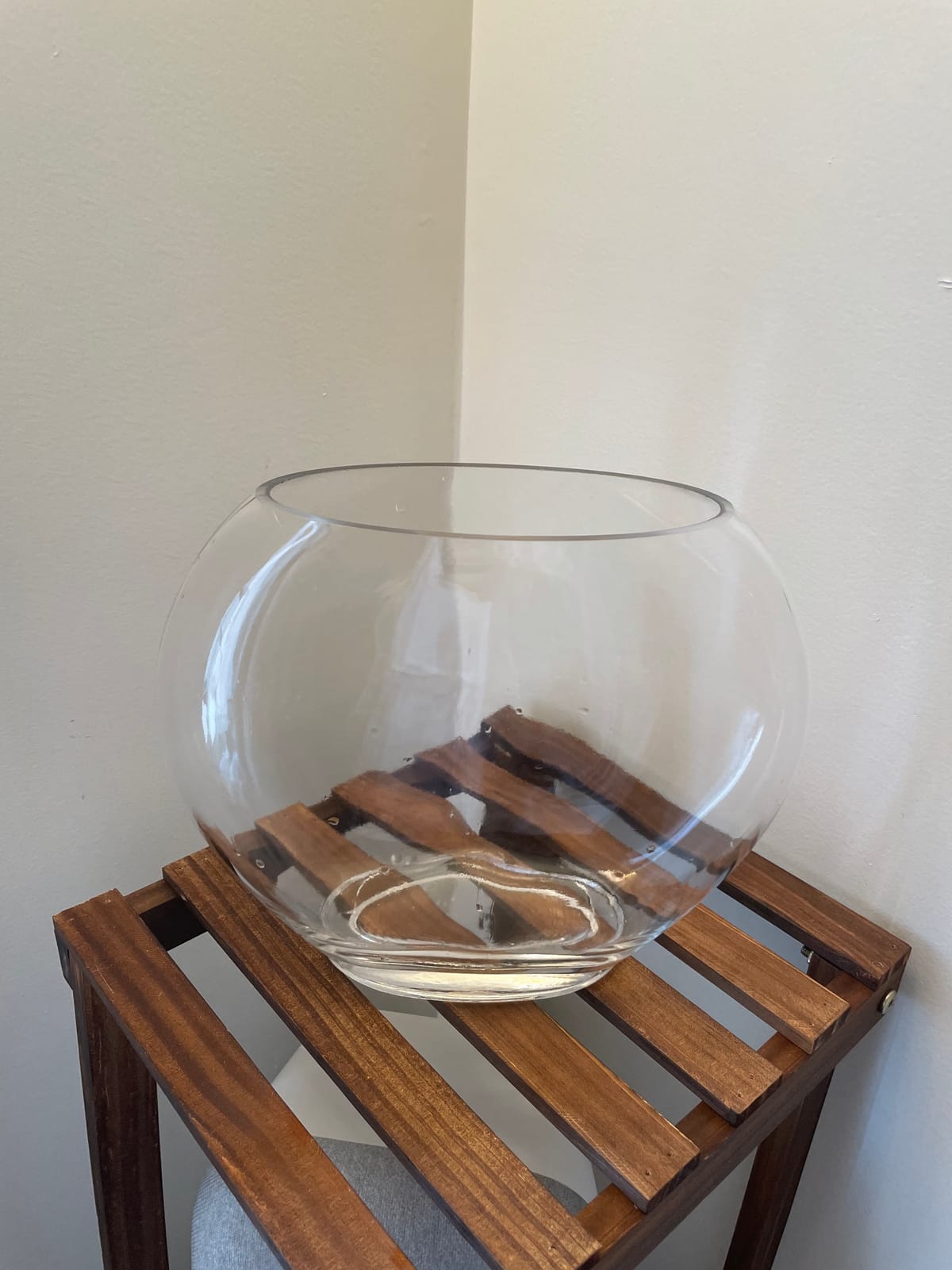 hygger Mini Glass Oblate Fish Bowl Kit, Small Fish Tank Comes with Blue Aquarium Decor Stones and Plastic Fan Branch Tree Ornament customer photo 2
