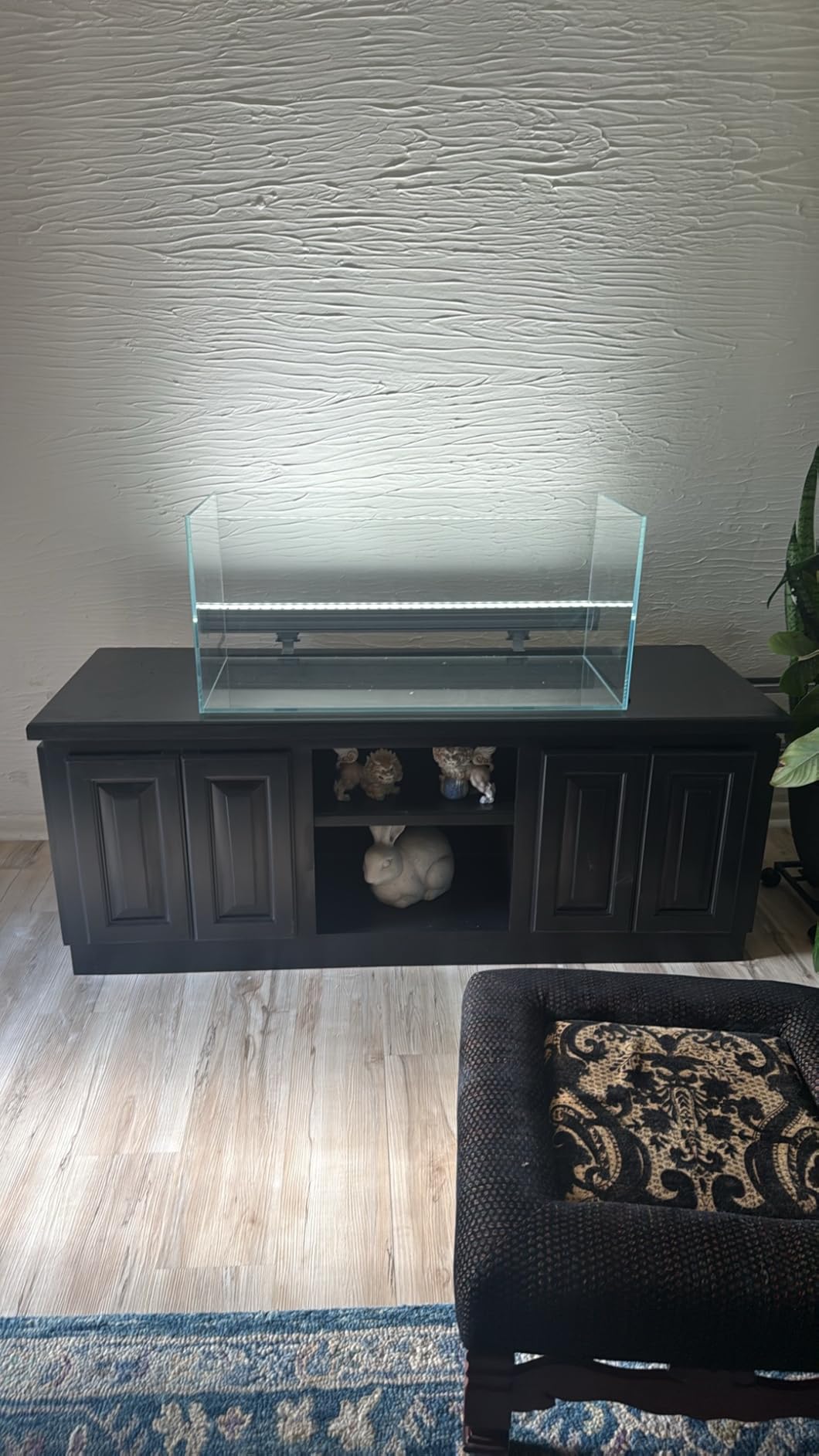 Low Iron Glass Ultra Clear Rimless Aquarium Tank,Classic Silhouette (7Gal) customer photo 1