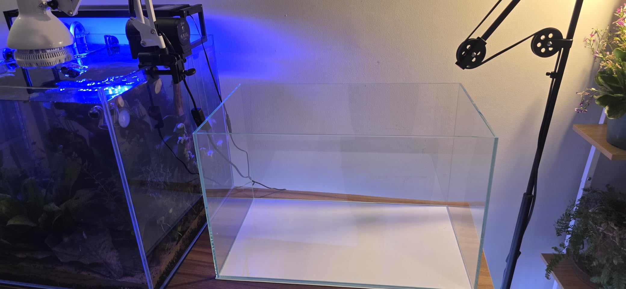 Low Iron Glass Ultra Clear Rimless Aquarium Tank,Classic Silhouette (7Gal) customer photo 2