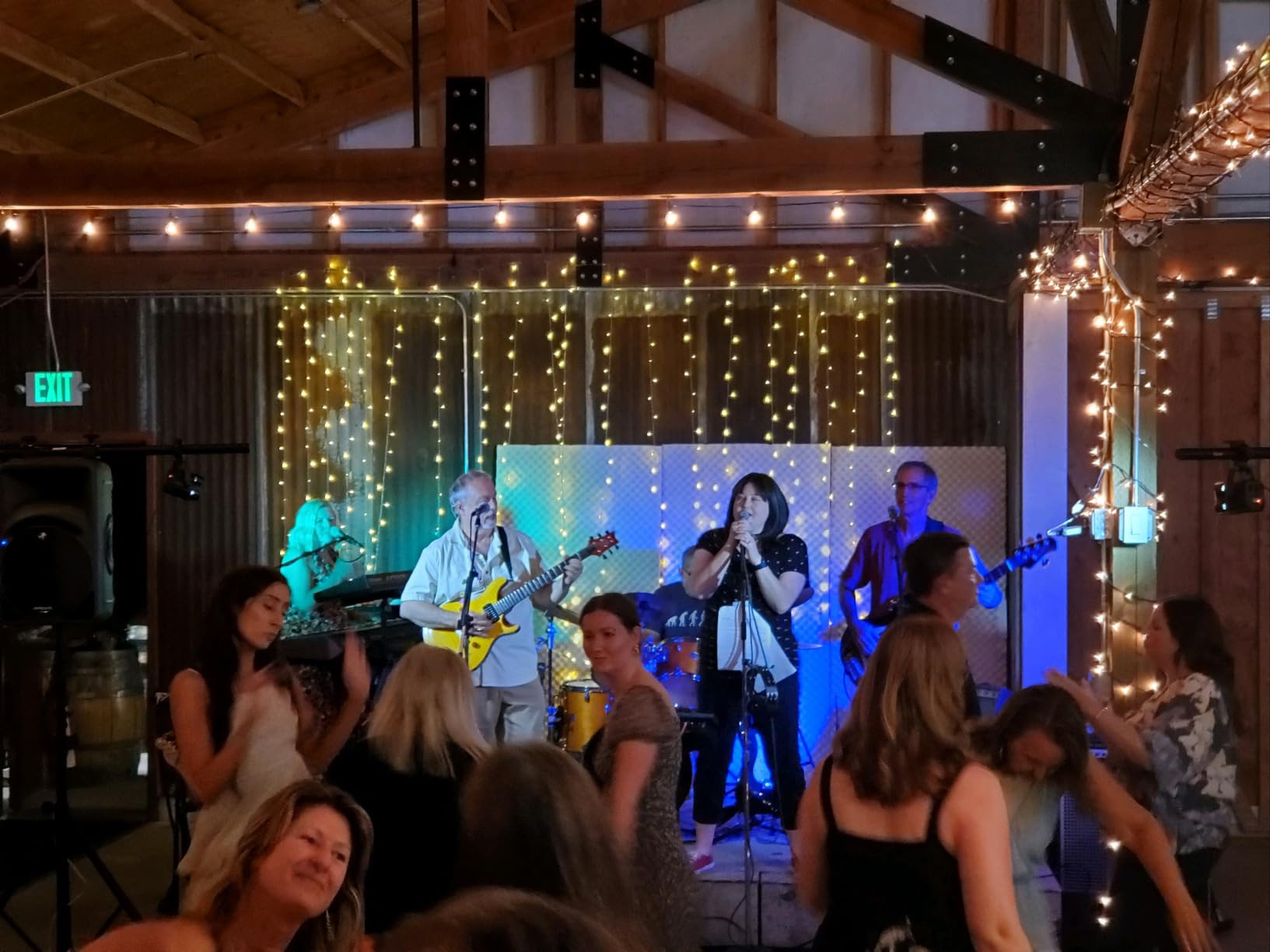 AQOOL Stage Par Lights, RGBW 4-in-1 LED Par Light Stage Lights DMX customer photo 2