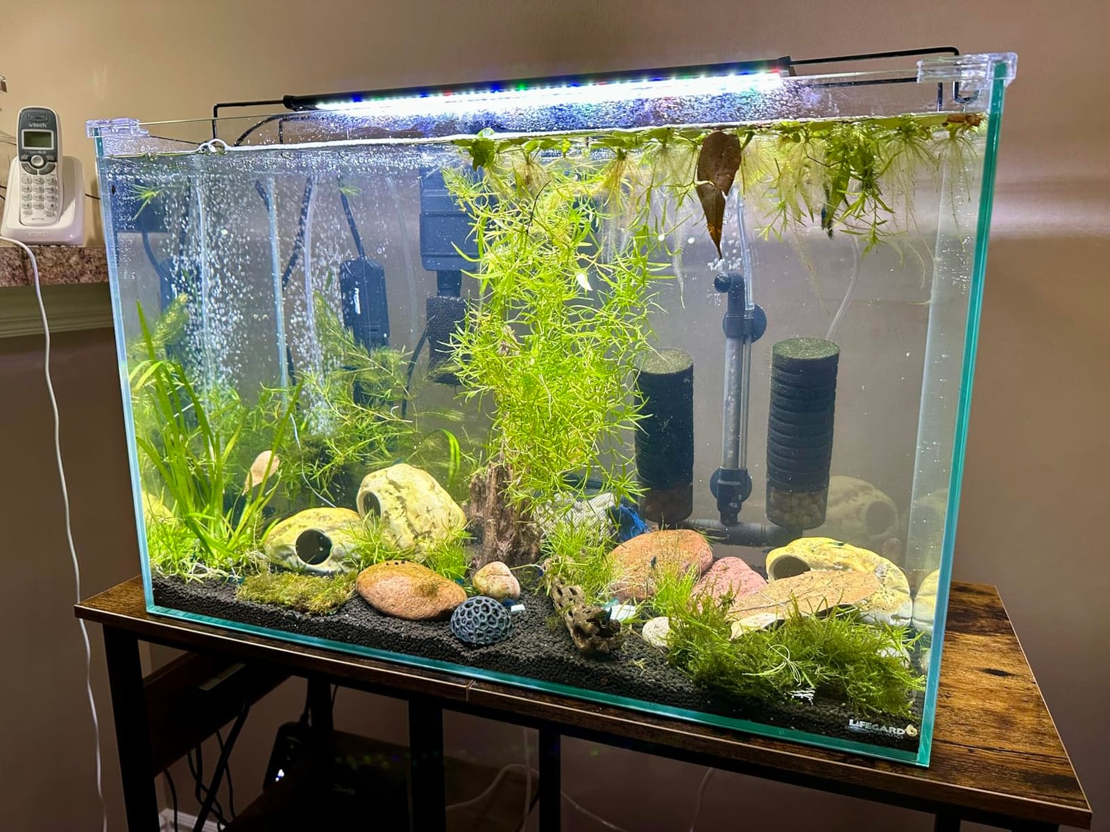 Lifegard Aquatics 5 Gallon Rimless Aquarium, Clear Glass, Ultra Clear Sealant Fish Tank, 5mm Thick with Dense Leveling Mat for Freshwater/Marine, Home or Office Decor (15.74