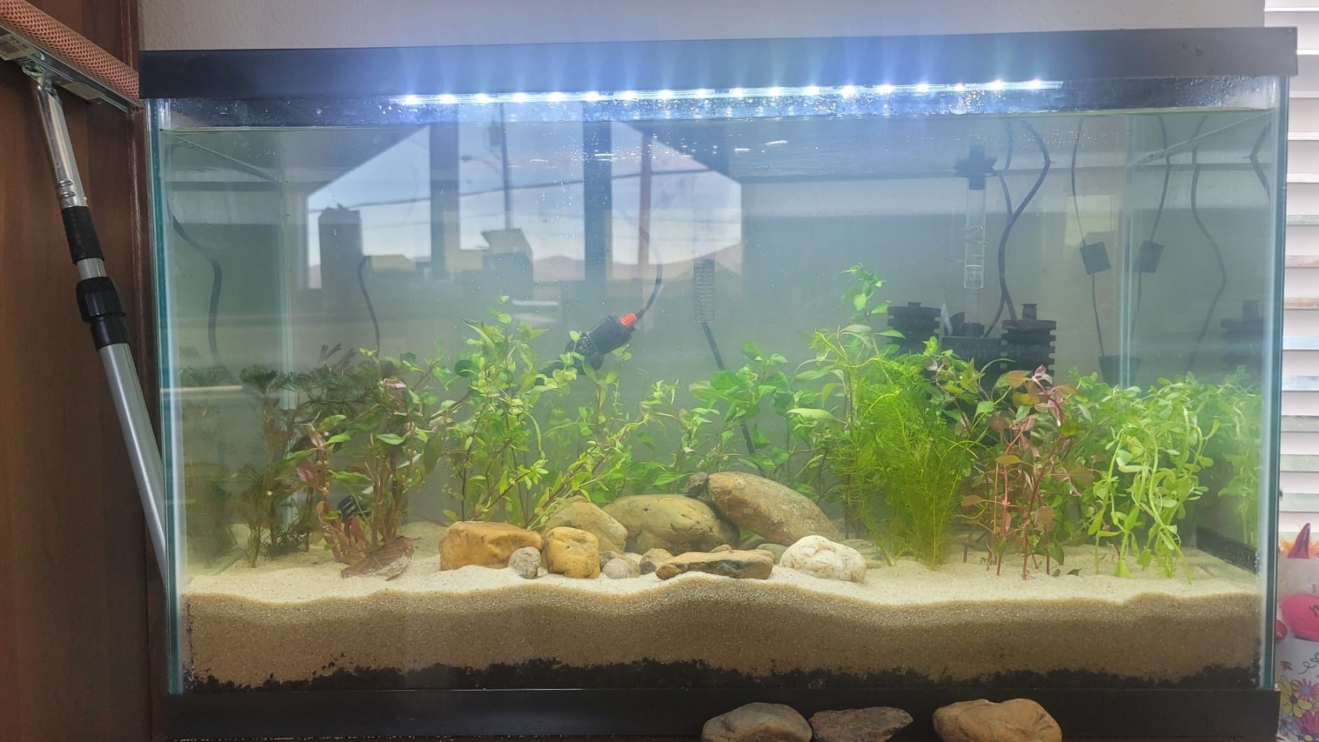 Tetra LED 10 Gallon Complete Fish Tank Kit customer photo 1