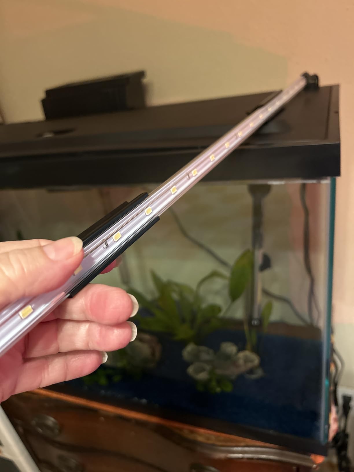 Tetra LED 10 Gallon Complete Fish Tank Kit customer photo 2