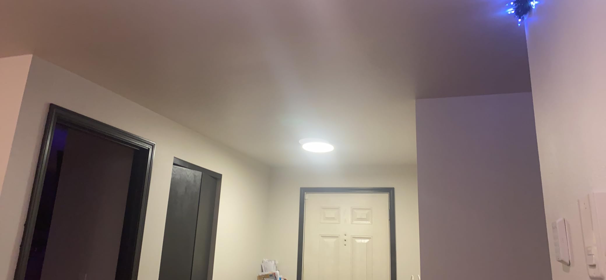 MELEGAN 12 Inch Smart RGB LED Flush Mount Ceiling Light (1 Pcs) customer photo 2