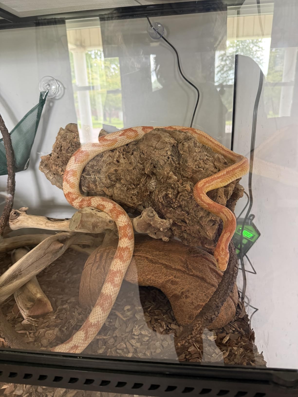 REPTI ZOO Reptile Terrarium Cabinet, Reptile and Amphibian Terrarium Stand 36