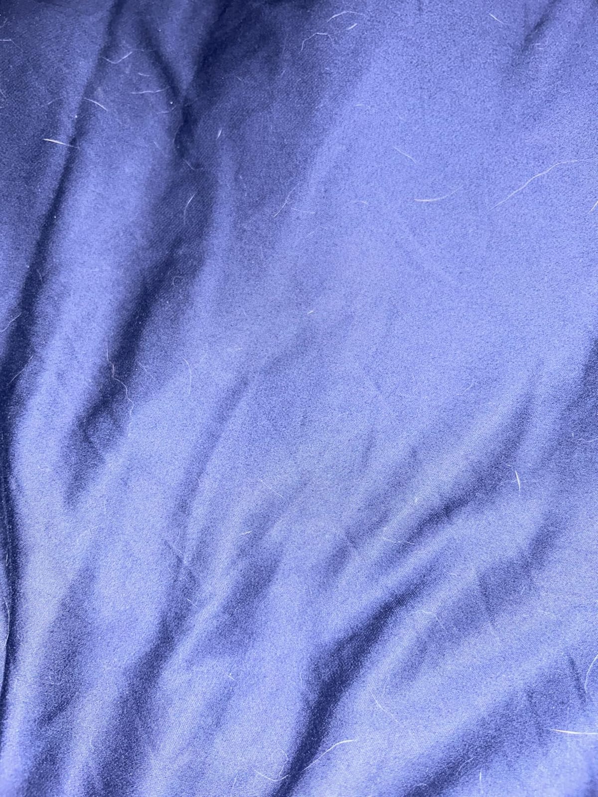 DOZ Duvet Cover Set, 100% Viscose derived from Bamboo, Organically Grown, Buttery Soft, Cooling Duvet Covers, High GSM, 1 Duvet Cover and 2 Pillowcases, 90