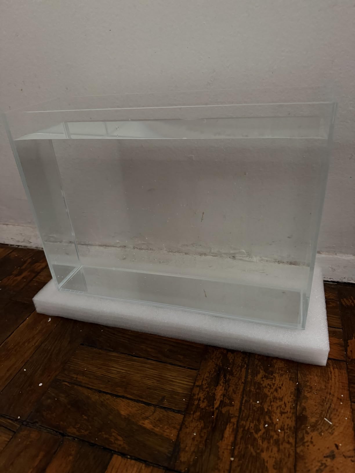 LAQUAL 3 Gallon Ultra Clear Glass Fish Tank, Rimless Low Iron Aquarium for Betta/Nano/Goldfish/Snail/Shrimp, Small Fish Tank with Fish Net & Cleaning Tools customer photo 1