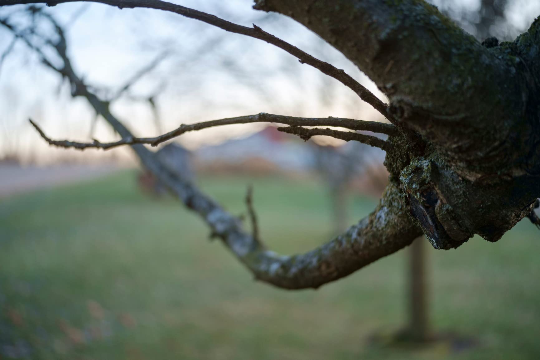 TTartisan AF 27mm F2.8 APS-C Pancake Lens for Fujifilm X Mount Cameras customer photo 1