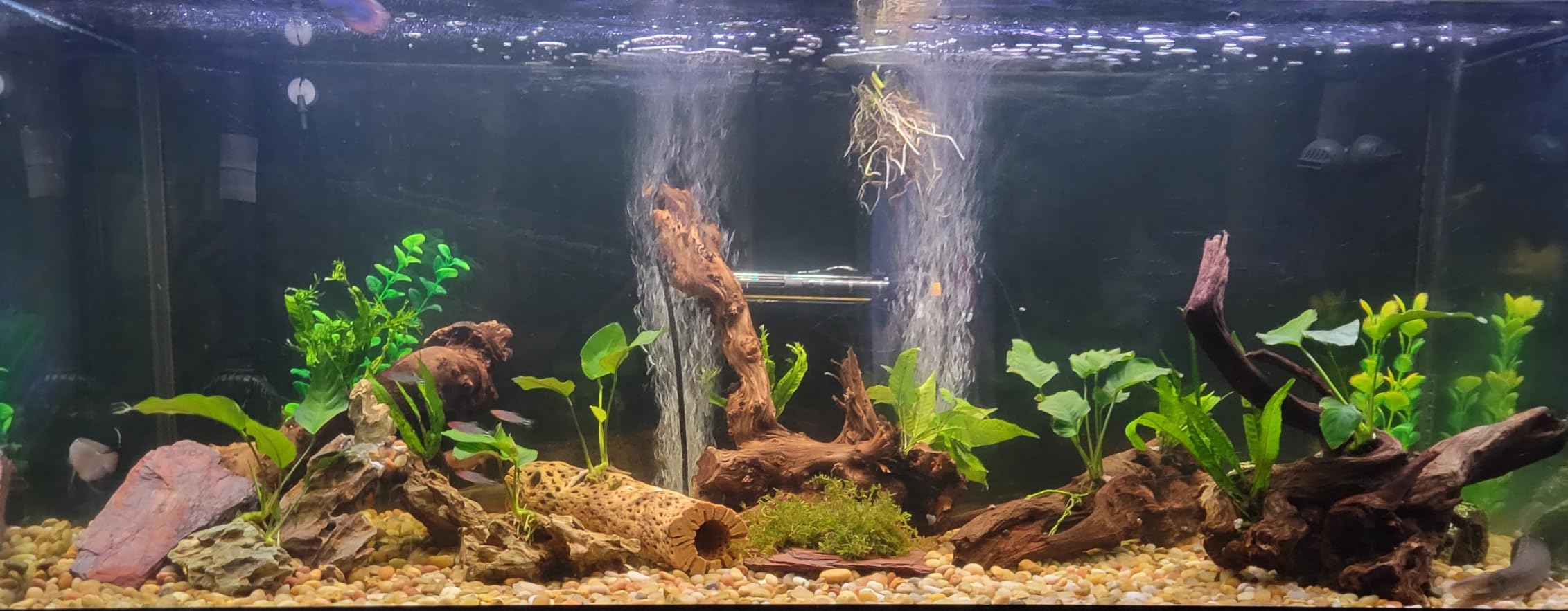 Fluval FX2 High Performance Canister Aquarium Filter customer photo 1