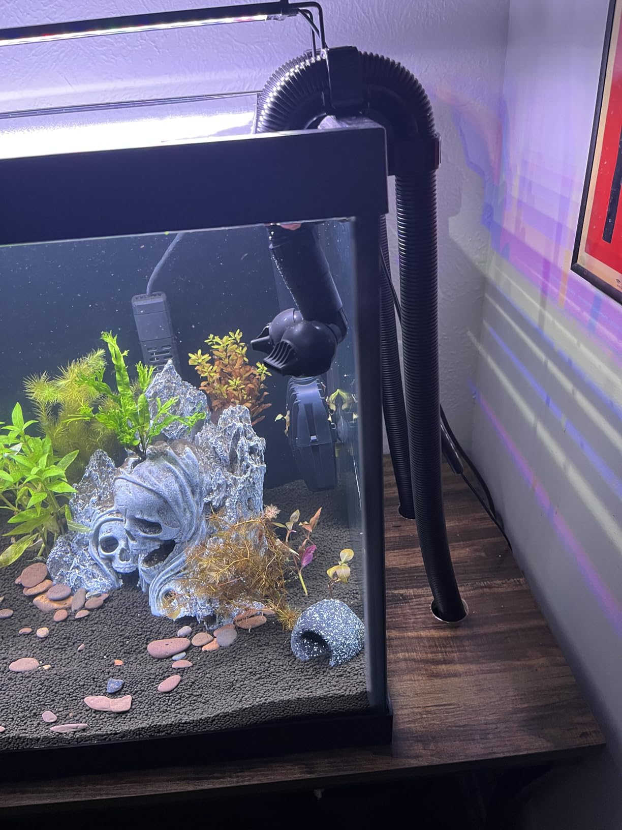 Fluval FX2 High Performance Canister Aquarium Filter customer photo 2