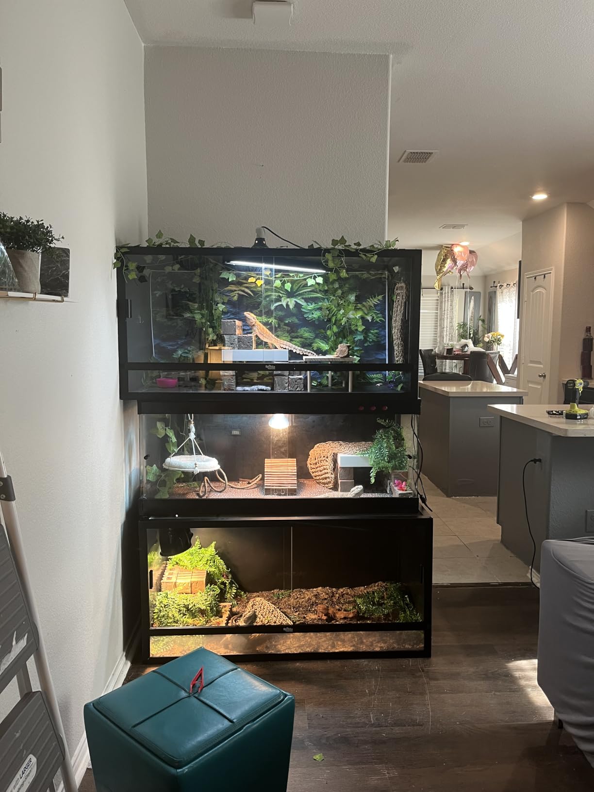 Reptile Habitats 4x2x2 (120 Gallon) Reptile Enclosure V3 PVC Panels, Glass Doors, Lightweight, Easy to Assemble, Heavy Duty Screen, Aluminum Frame customer photo 1