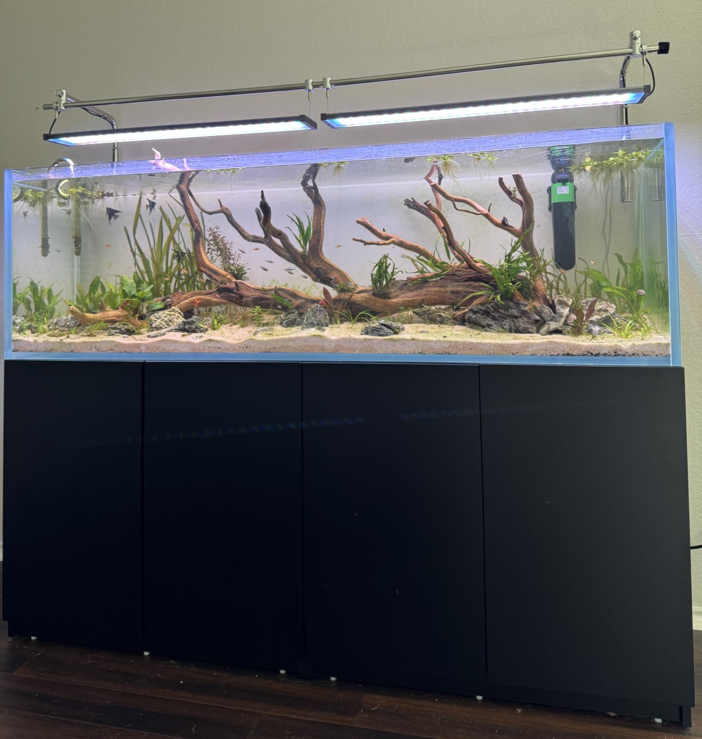 Landen Aquarium Cube 15.6 Gallon Ultra Clear Glass Rimless Fish Tank 40C customer photo 2