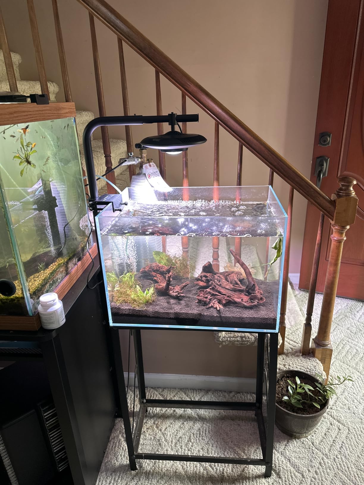 LYPHARD AQUARIUMS 9.5 Gallon Rimless Aquarium, Ultra Clear Glass Low Iron Small Fish Tank for Betta, L15.7×W11.8×H11.8 Inches Thickness 5mm with EVA Foam Mat Included customer photo 1
