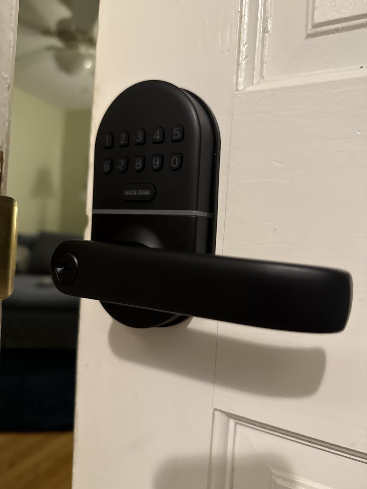 Keypad Door Lock with Handle, Smart Keyless Entry with Code for Front Door customer photo 1