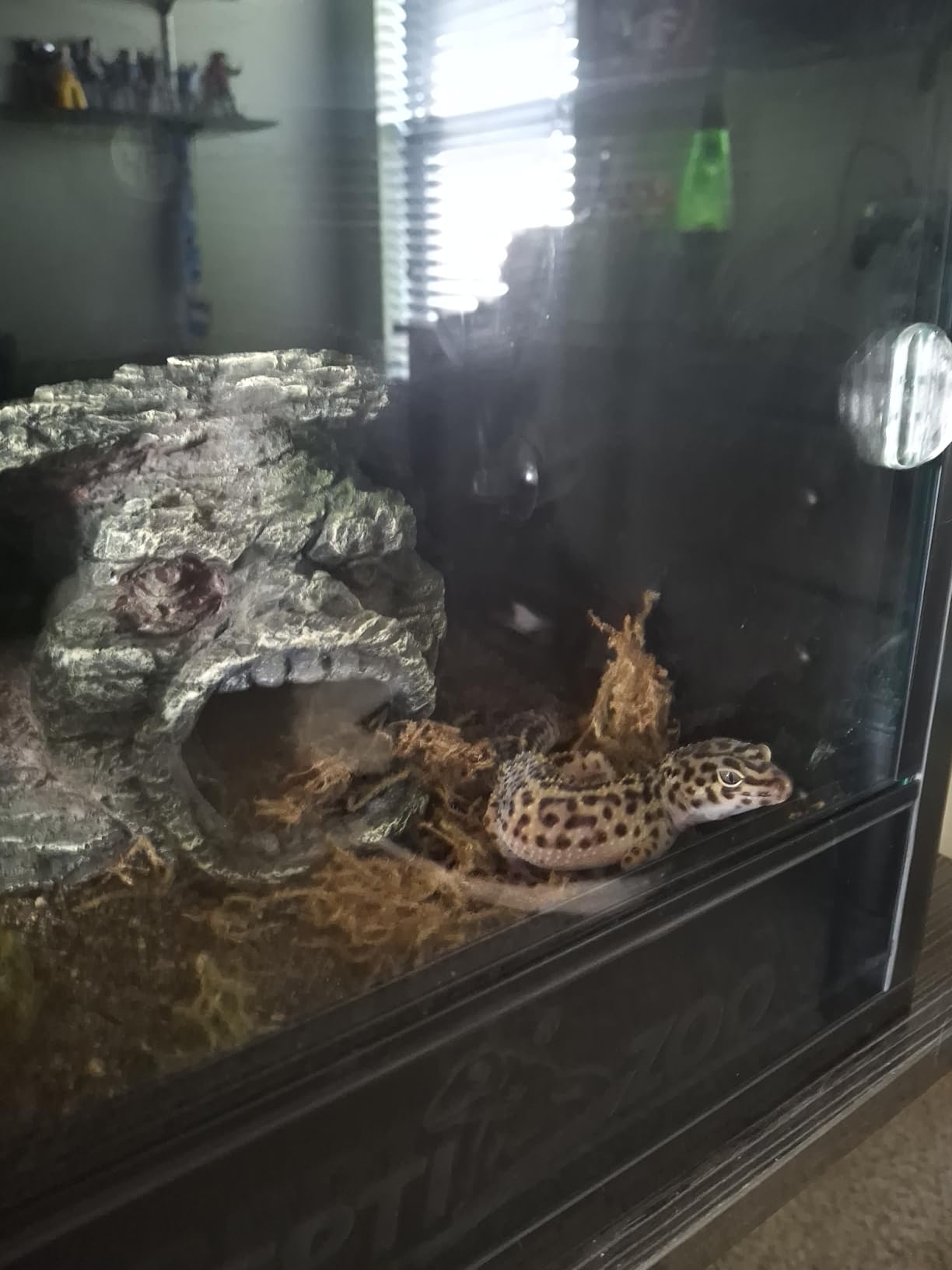 REPTI ZOO 35 Gallon PVC Reptile Tank, Reptile Terrarium for Crested Gecko Frog Lizard Snake Turtle Hermit Crab, 36x18x12 inch Leopard Gecko Enclosure with Sliding Door & Screen Ventilation customer photo 2