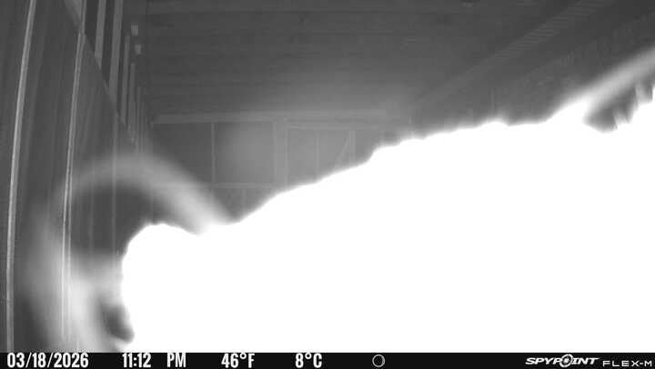 SPYPOINT Flex-M Twin, Cellular Trail Camera, Night Vision, Free Photo Plan customer photo 2