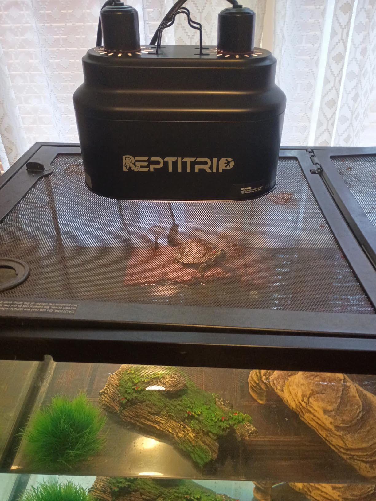 Dual Reptile Light Fixture with Switches, Reptile Heat Lamp Fixture, Reptiles Terrarium UVB Bulb Fixture for Bearded Dragon, Max 160W Each (Bulb Not Included) customer photo 2