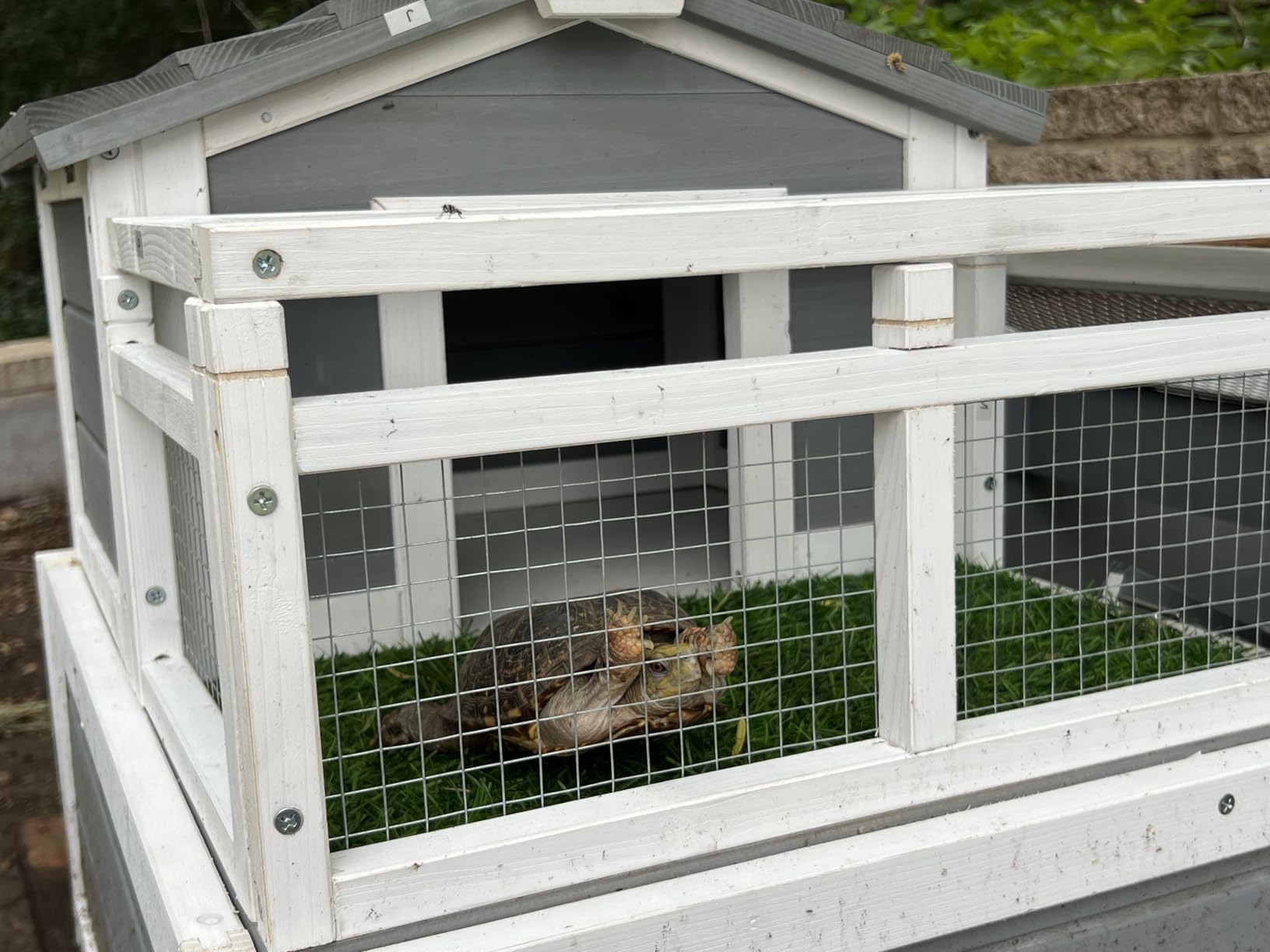 3-Room Large Tortoise Habitat with Pull-Out Tray, Wooden Reptile Enclosure Indoor & Outdoor with Ramp, Grass Mat, Openable Roof, Reptile Cage for Small Animals, Luxurious Tortoise House Villa, Gray customer photo 2