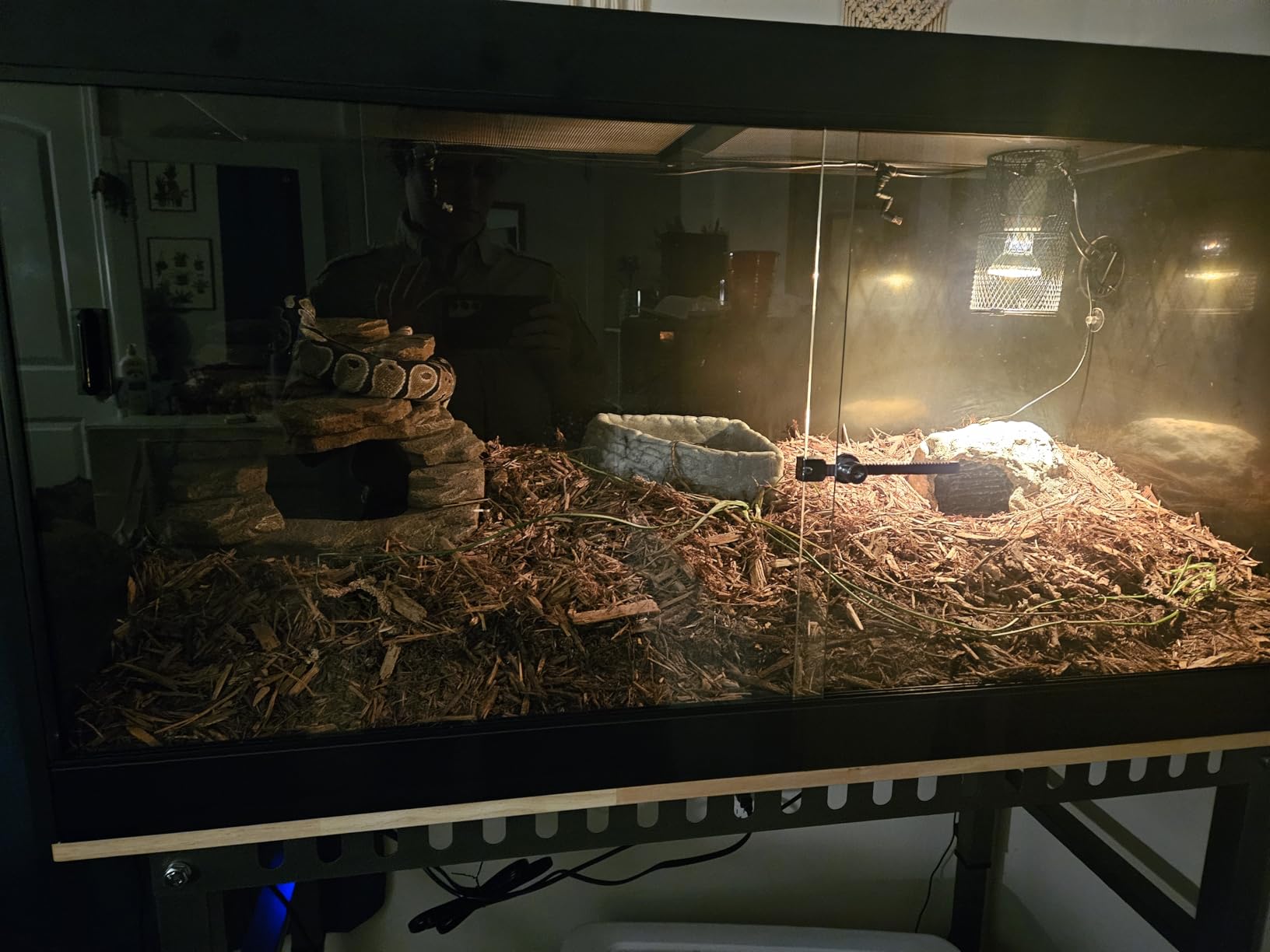 50 Gallon PVC Reptile Enclosure, RepWild 36