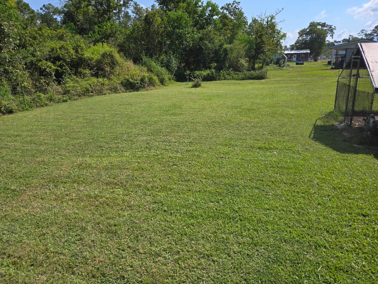 Mammotion LUBA 2 AWD 3000X Robot Lawn Mower with 4G, 80% Slope, 0.75Acre customer photo 1