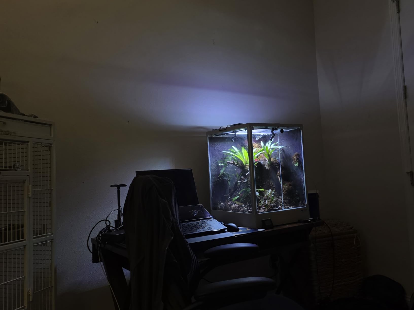 Reptile Terrarium 12