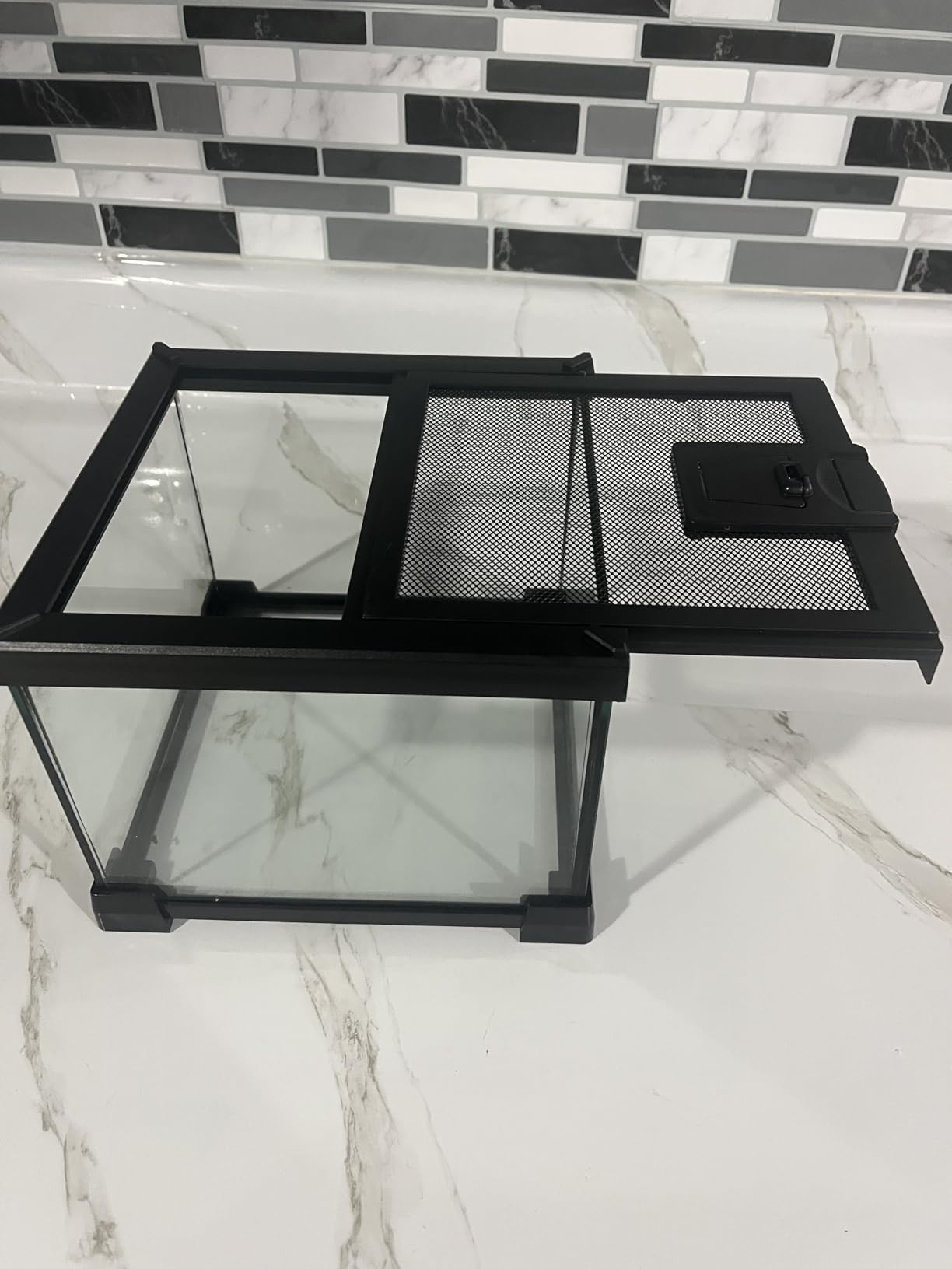 Vertical Glass Reptile Enclosure Terrarium, 10