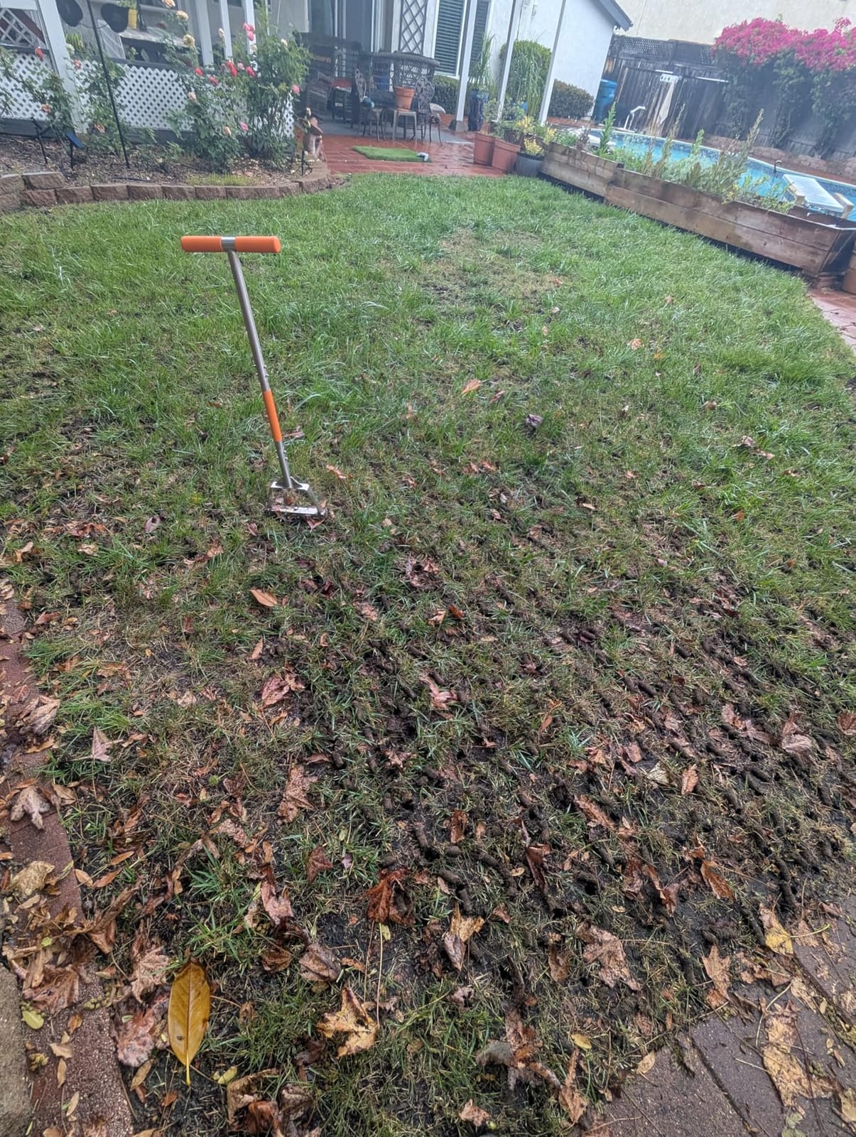 Manual Lawn Core Aerator for Compacted Soil with Non-Clogging Hollow Tines customer photo 2