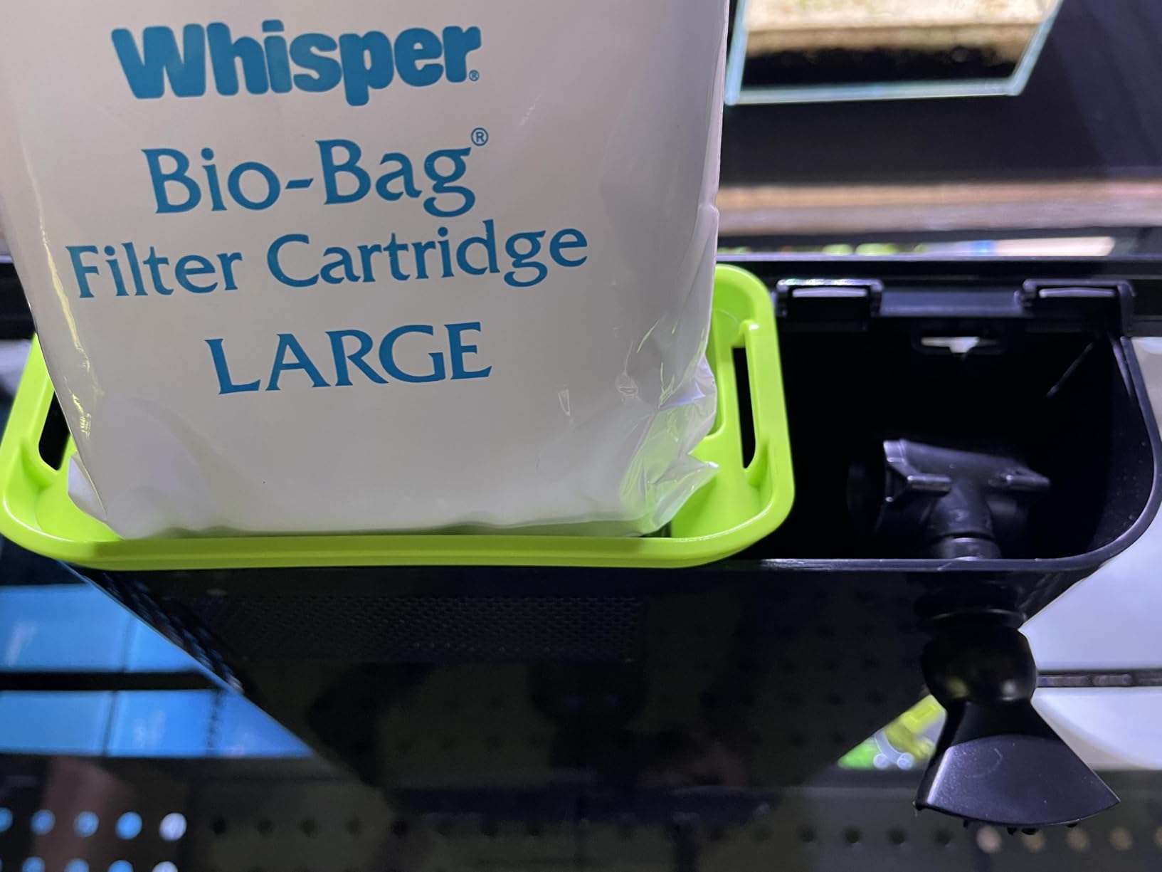 GloFish Glass Aquarium Kit, 20 Gallons, Includes Premium Blue, LED Light Stick & Integrated Filtration, Perfect for Beginners or Seasoned Hobbyists, Seamless, Curved Design customer photo 2