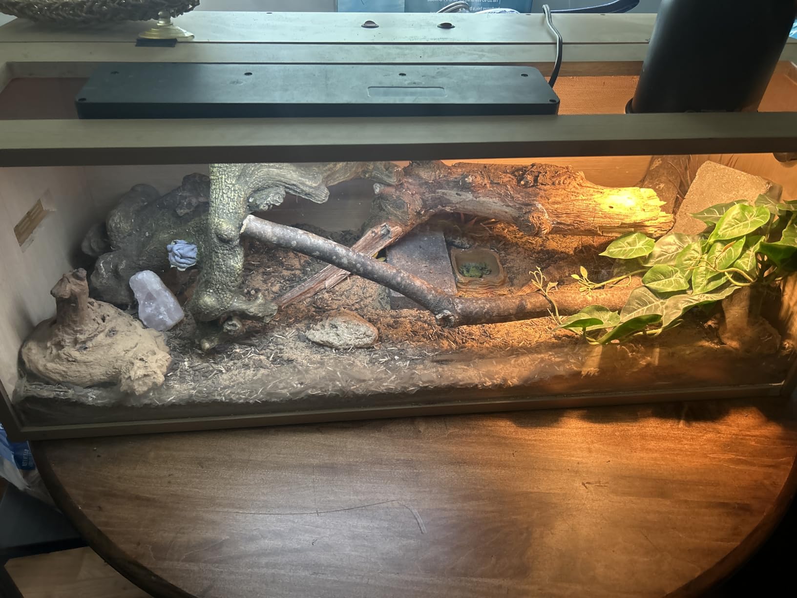 unipaws 50 Gallon Reptile Tank for Lizards, Reptile Enclosure Cage customer photo 2