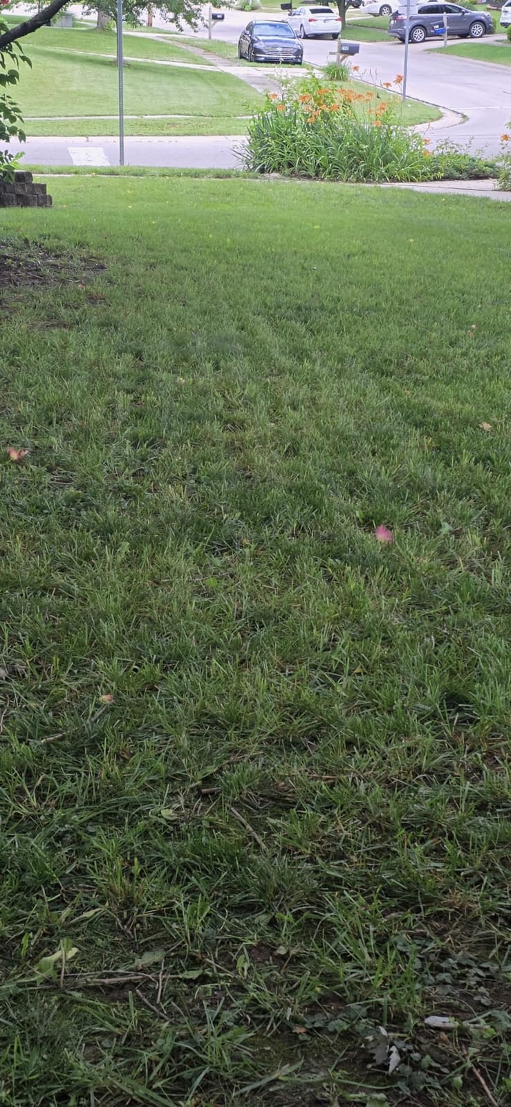 Sunseeker S4 Robot Lawn Mower, 3D LiDAR, Vision AI, 0.25 Acre, Wire-Free customer photo 2