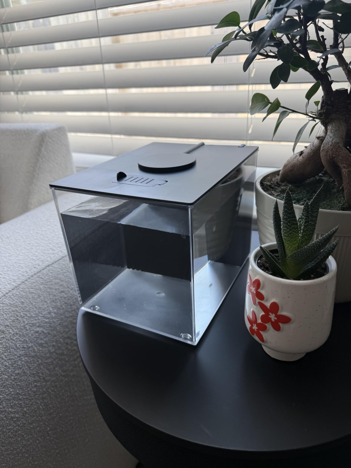 Vehipa Betta Fish Tank 1 Gal (3.7L), Acrylic Nano Aquarium Kit Black customer photo 1
