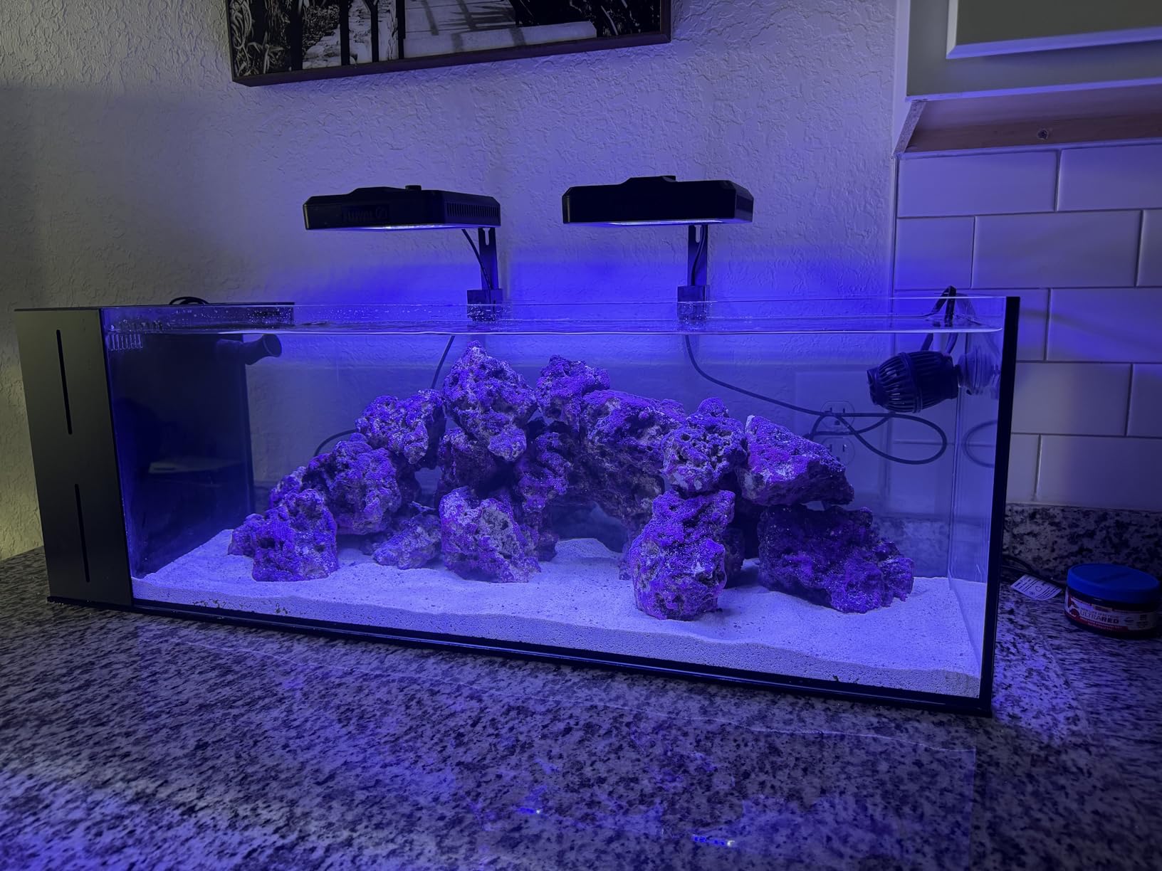 Ultum Nature Systems Dual AIO - Freshwater/Saltwater Compatible, All in One Rimless Tank with Triple Chamber Filtration System, Integrated Filter Aquarium with Leveling Mat - 6 Gallon, 45SA, Black customer photo 1